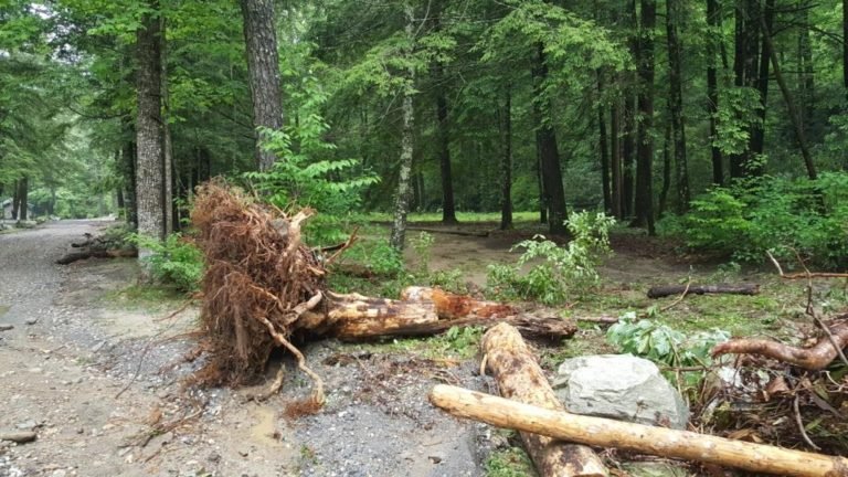 Mortimer Campground, Roads Temporarily Closed Due to Flood Damage ...