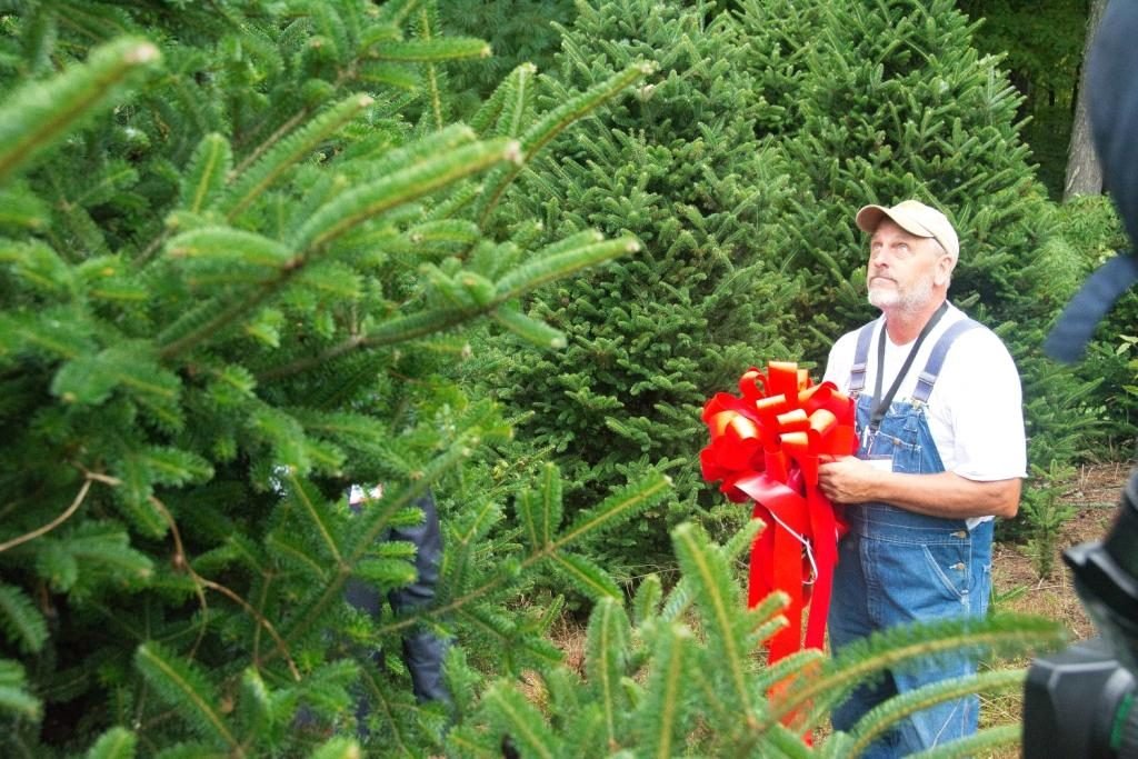 2018 White House Christmas Tree Selected right here in North Carolina ...