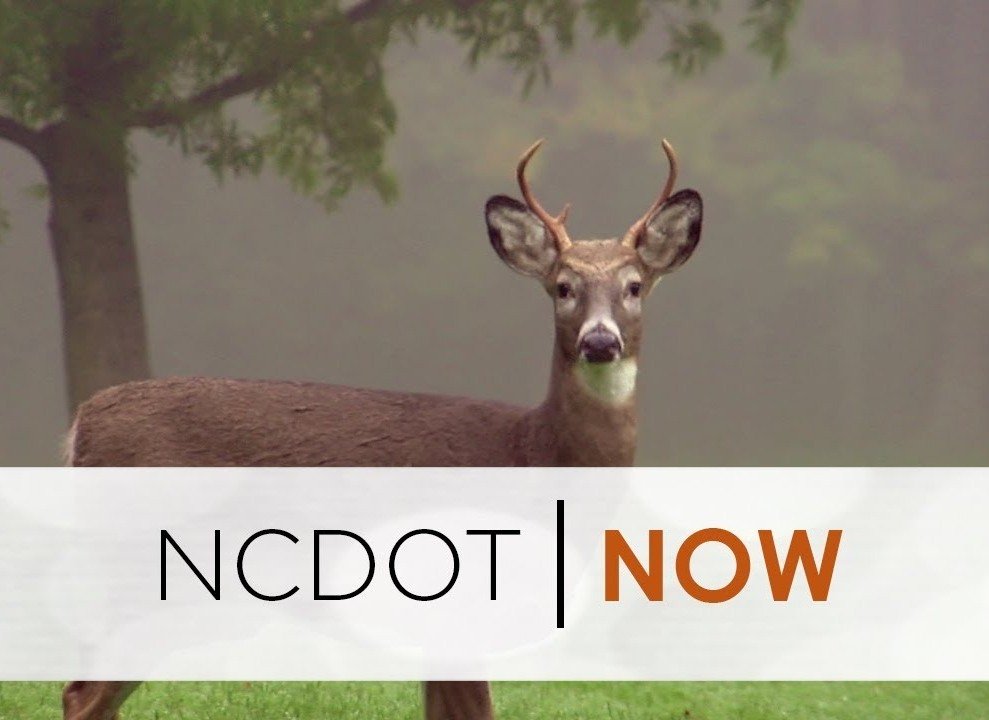 Deer Season Safety from the NCDOT Caldwell Journal