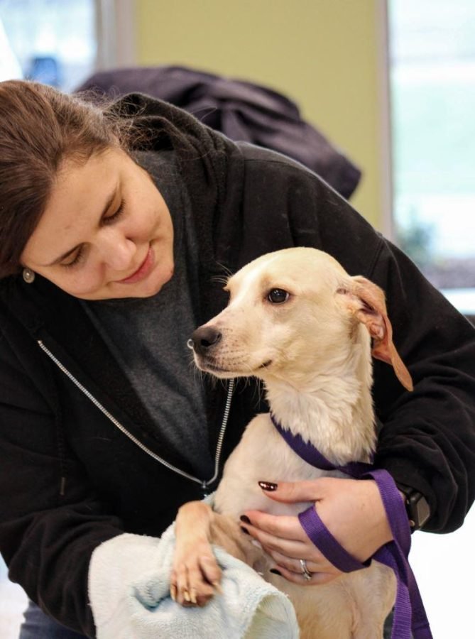 Caldwell County Animal Care Enforcement Opens New Facility Caldwell 