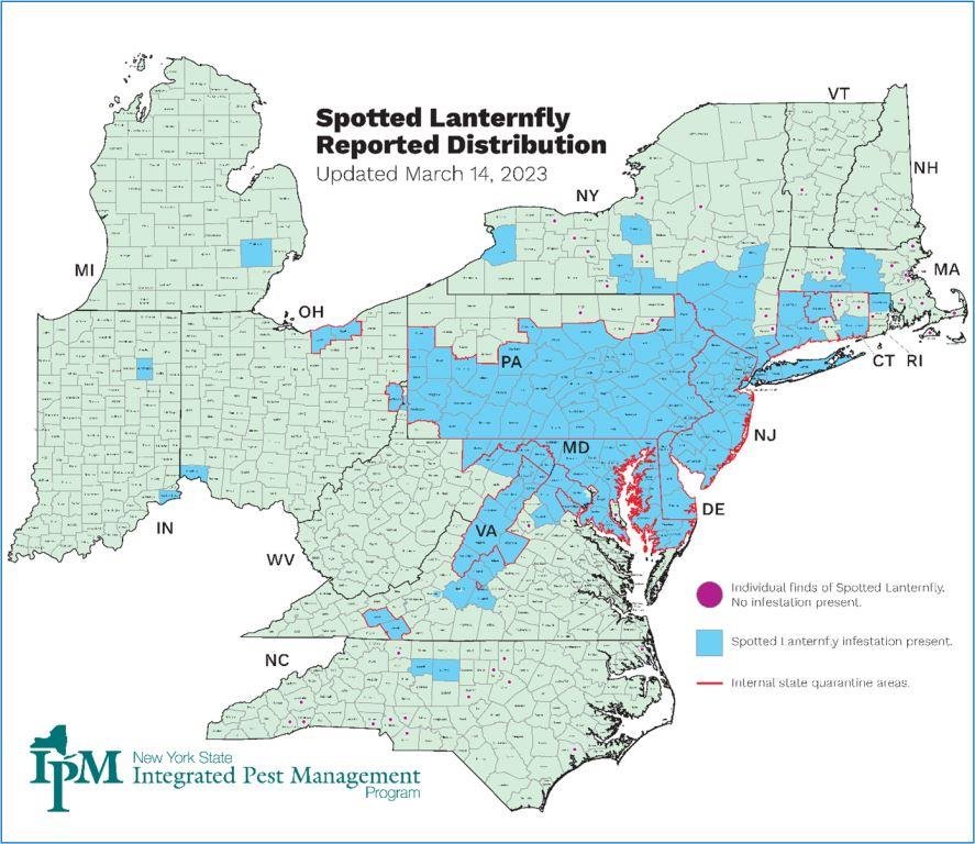 North Carolina residents urged to watch out for Spotted Lanternfly ...